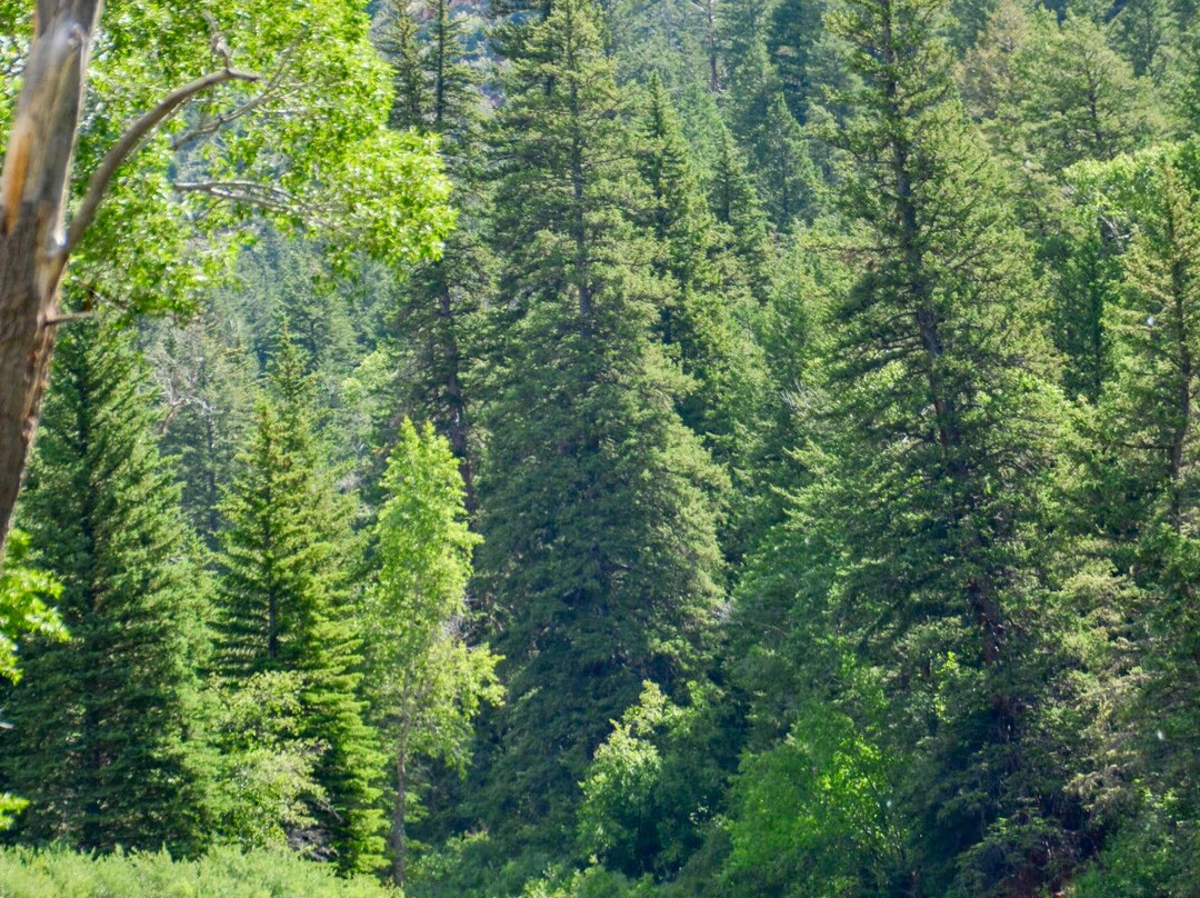 Sage Outdoor Adventures-Wolcott必去景点