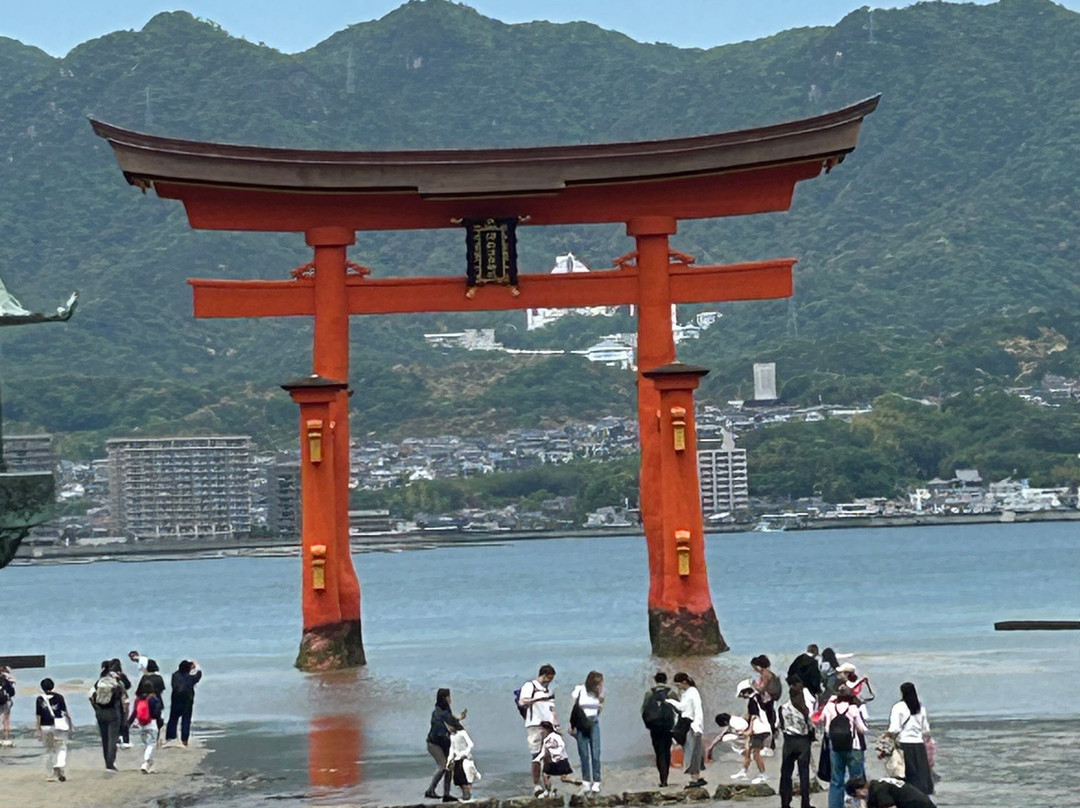 Stunning Tours-西安市必去景点