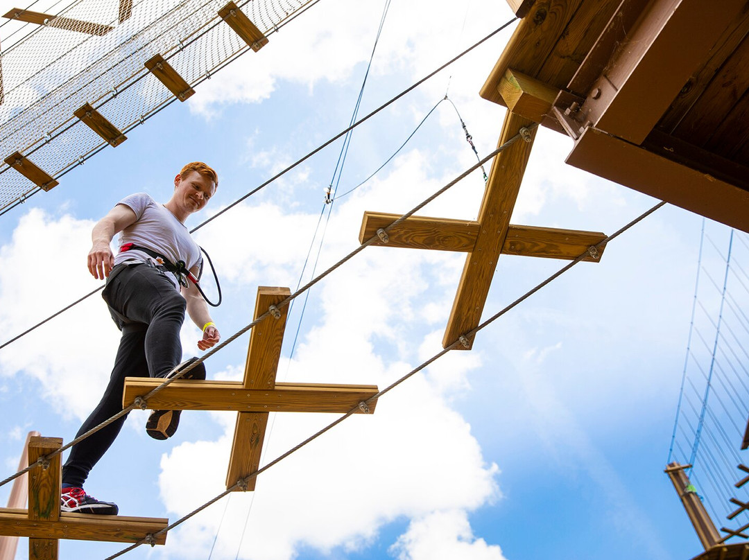 Go Ape Alexandra Palace-伦敦必去景点