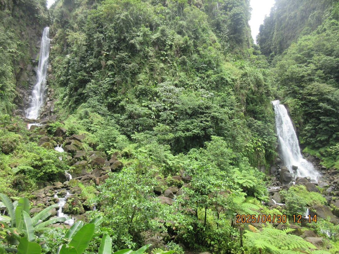 Trafalgar Falls-Morne Trois Pitons National Park必去景点