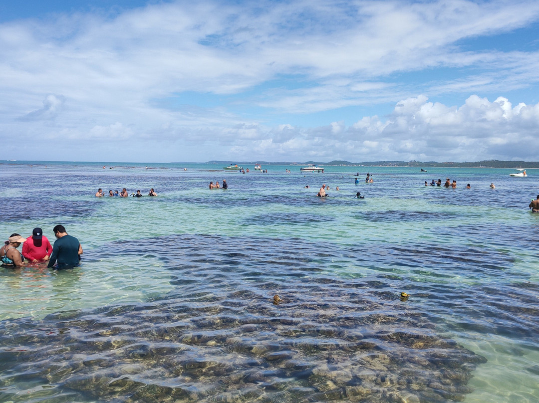 Maresul Turismo e Receptivo-Maceio必去景点