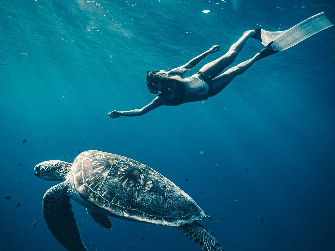 Salted Christmas Island