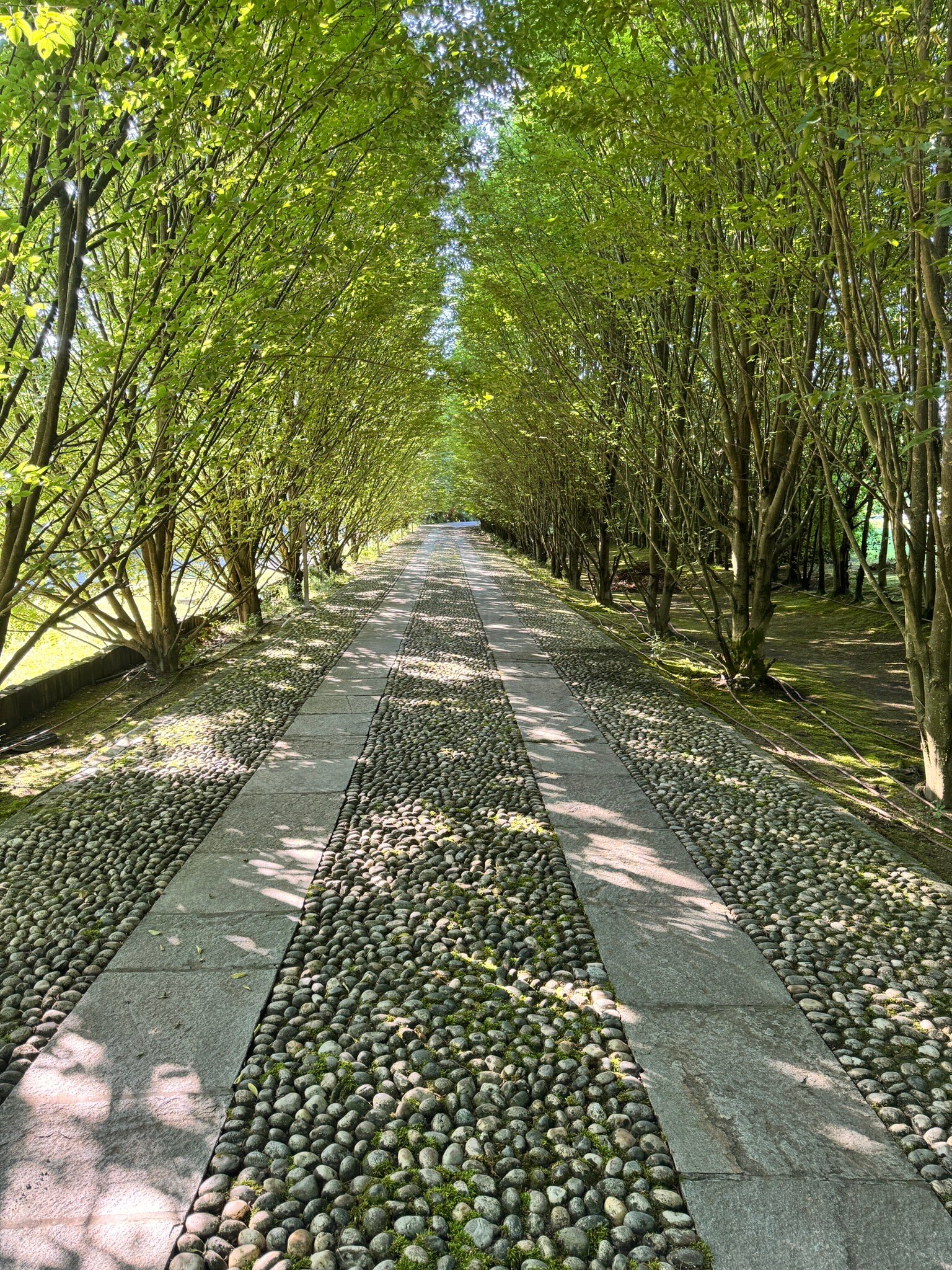 Relais 23-官方