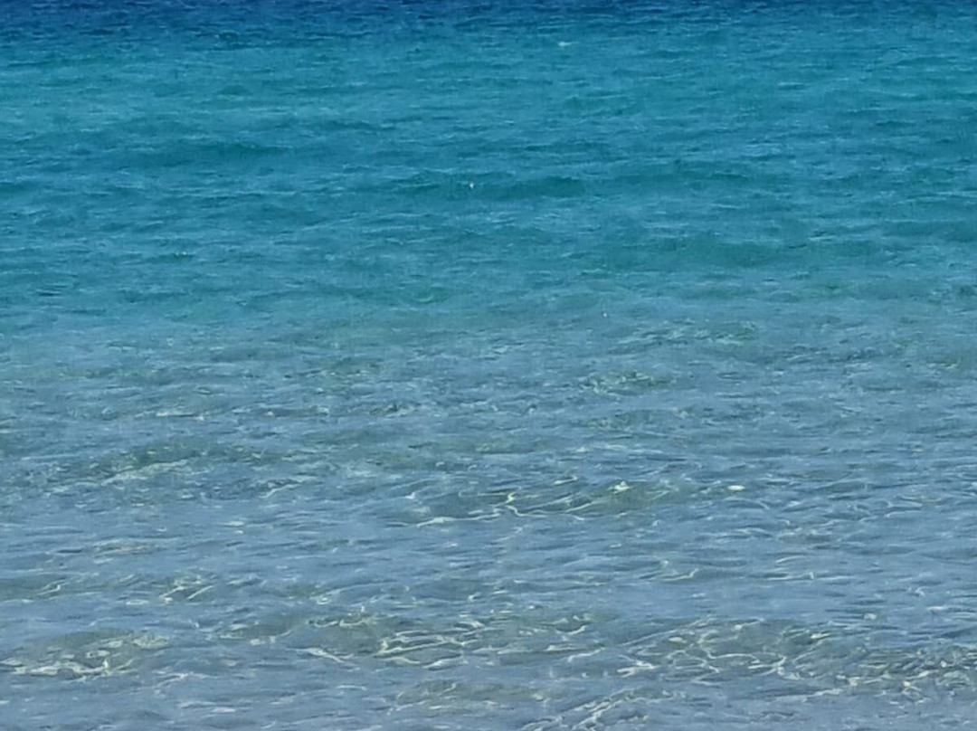 Cap Bon Kelibia Beach Hotel & Spa主图