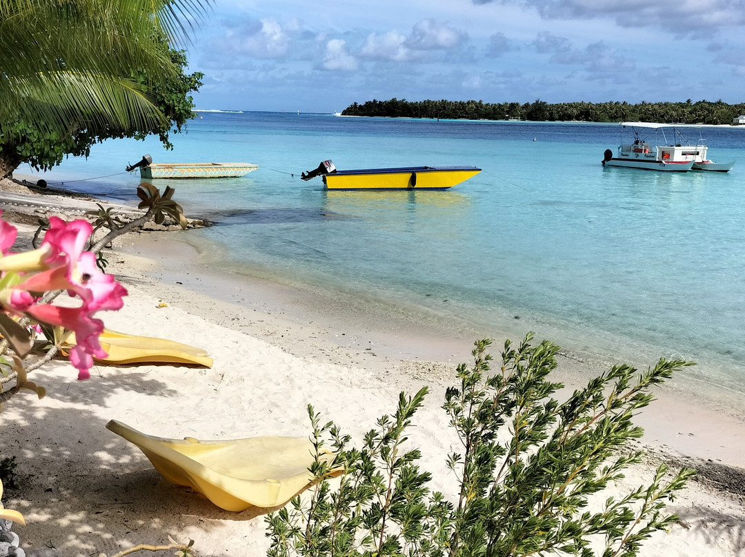 Pension Papahani主图