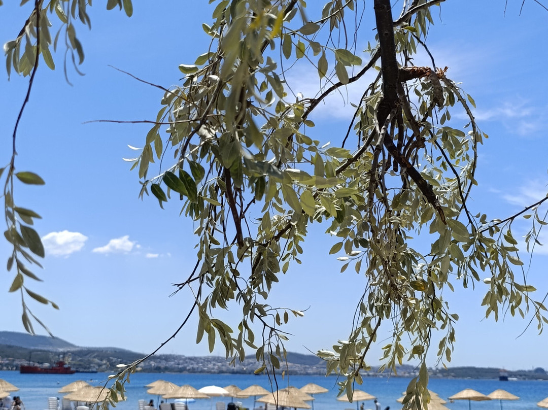 AğaPark-null必去景点