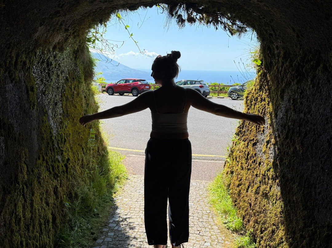 Endemic Azores-奥尔塔必去景点