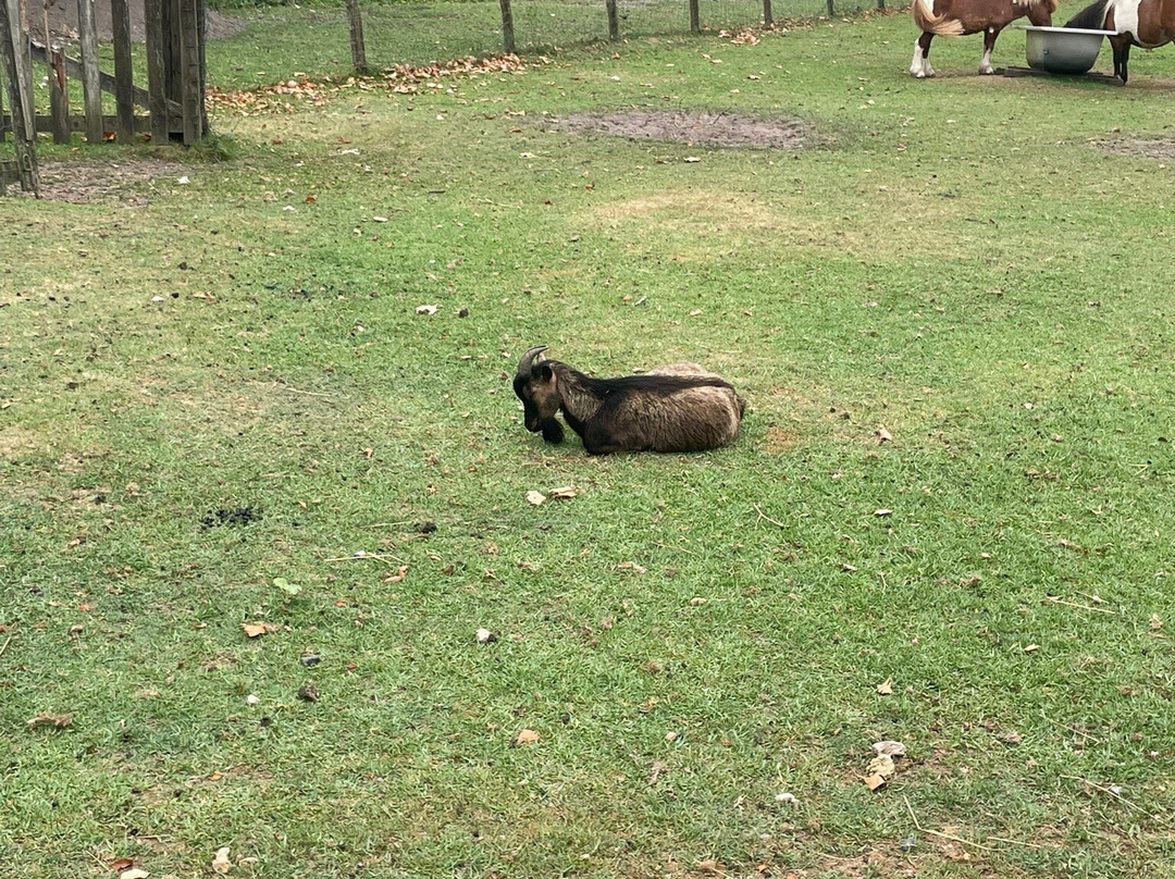 Musee des Traditions-比斯卡罗斯必去景点