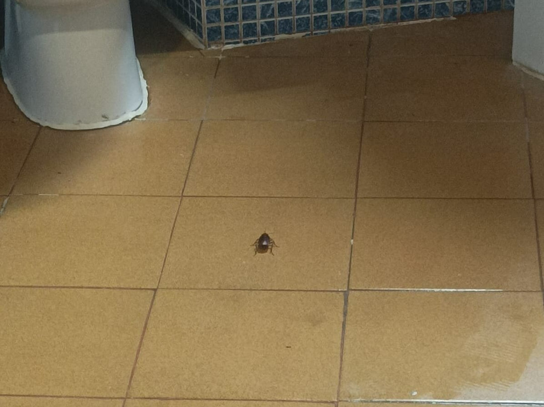 Hotel La Ventana主图