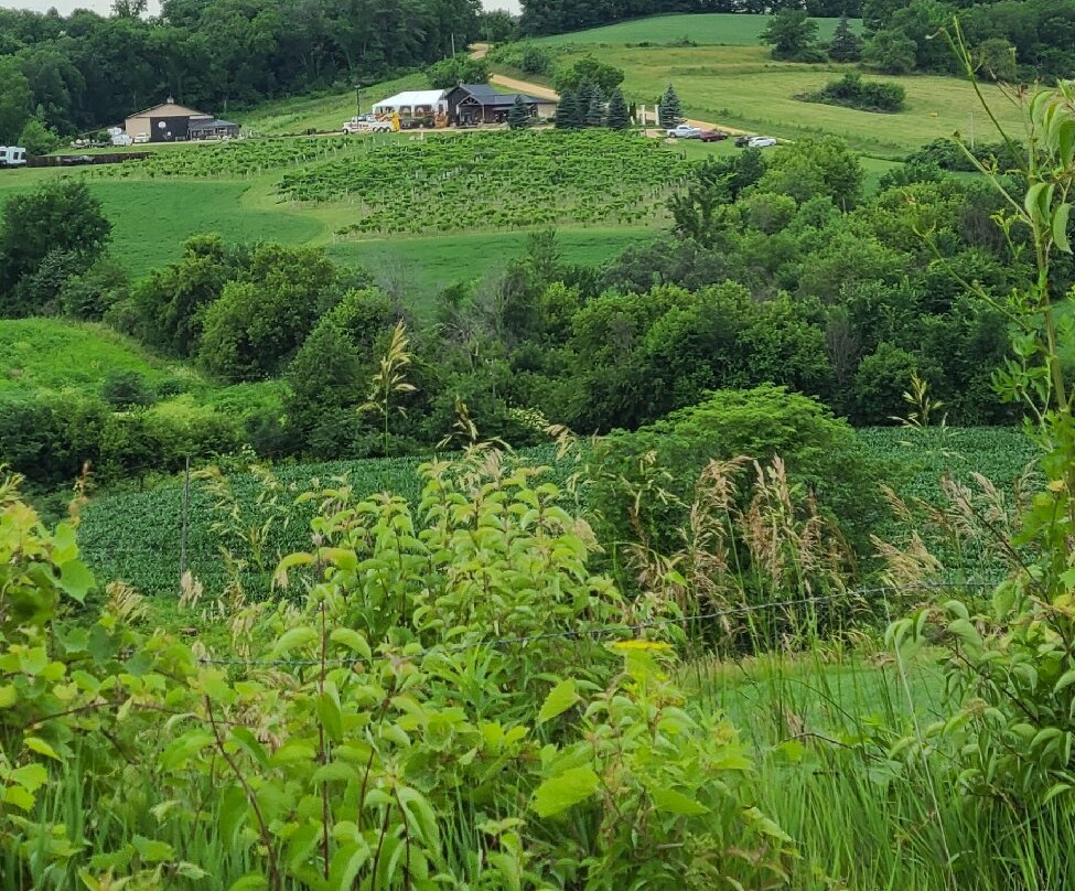 Fergedaboudit Vineyard & Winery-Hanover必去景点