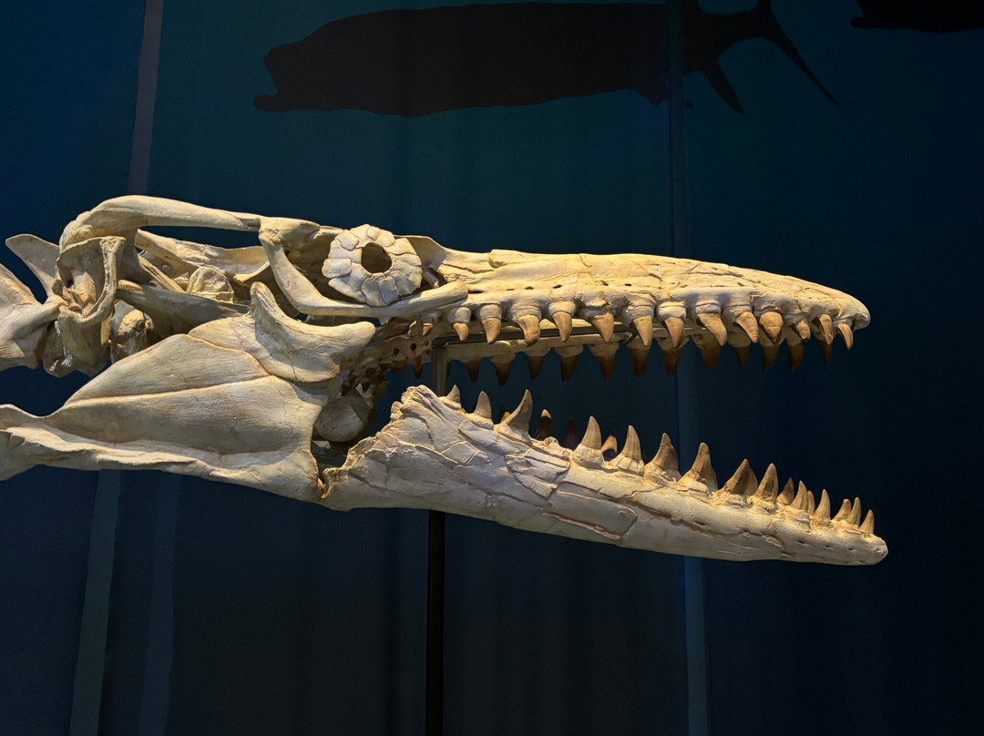 Tellus Science Museum-Cartersville必去景点