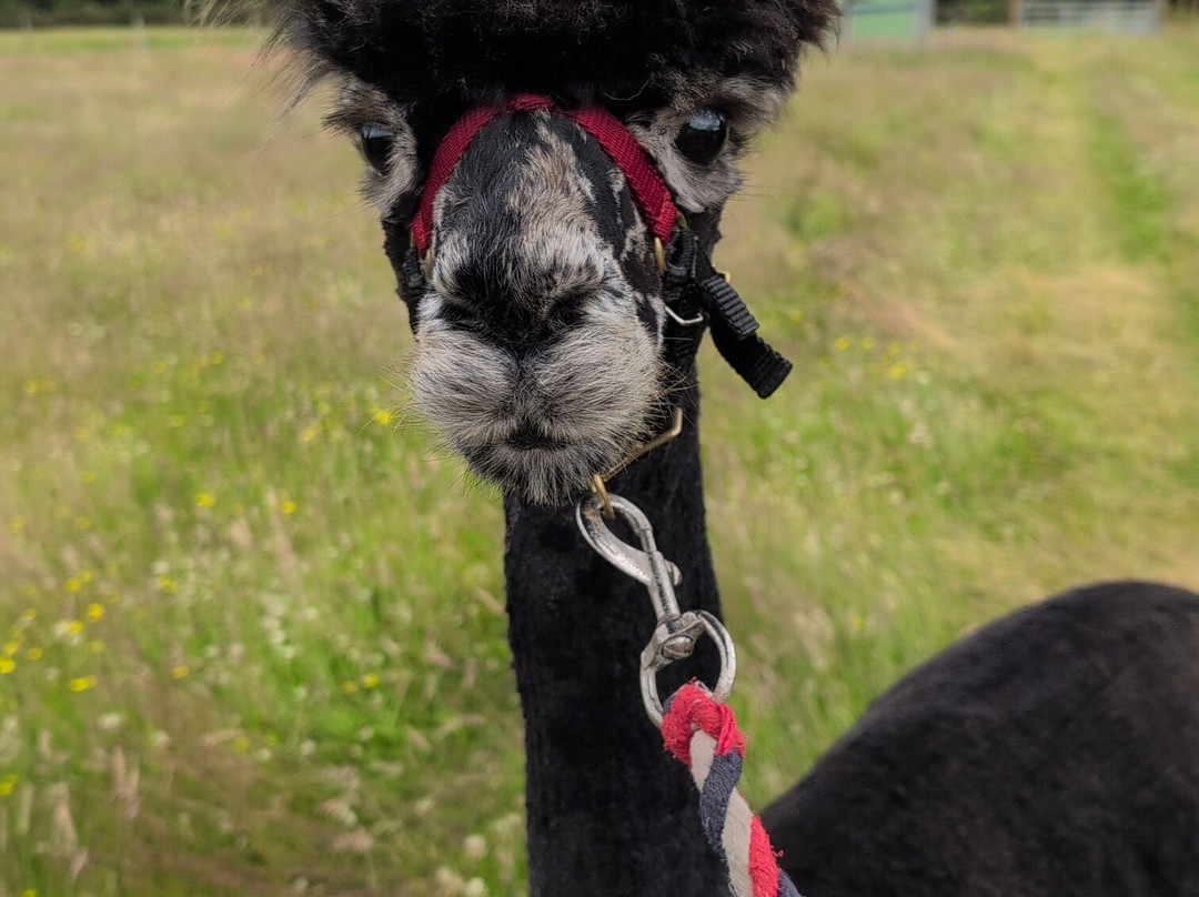 Invercannich Farm-Cannich必去景点