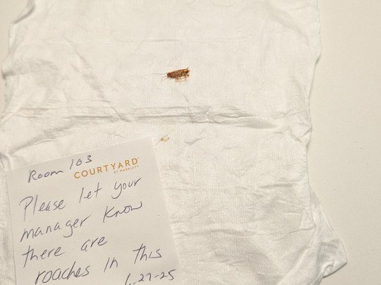 Courtyard by Marriott Orlando Altamonte Springs/Maitland主图