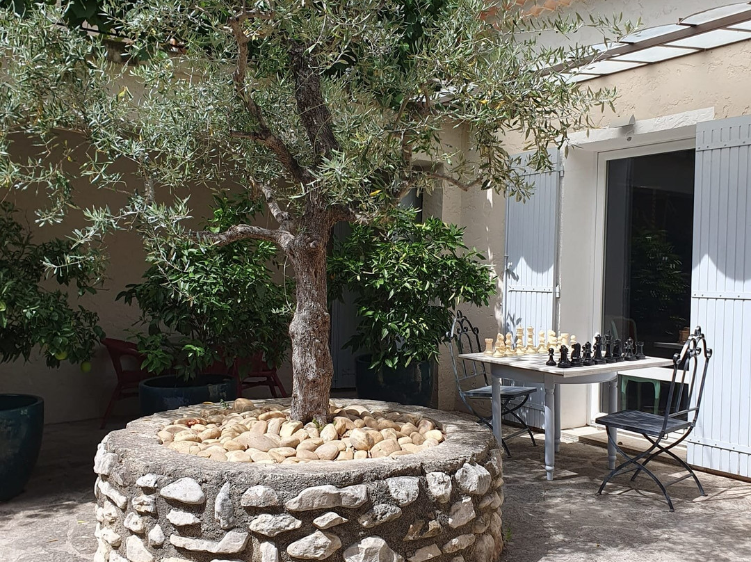 Logis Hôtel des Pins Rest. l'Esprit Jardin主图