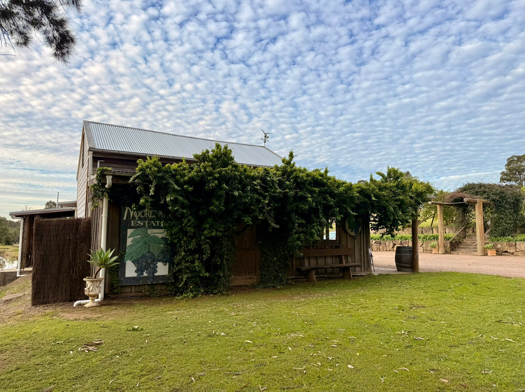 Moorebank Vineyard-波高尔宾必去景点