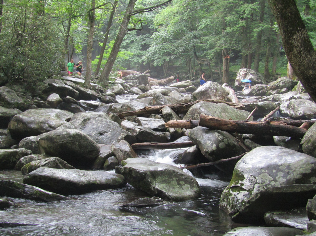 Chimneys Picnic Area-大雾山国家公园必去景点