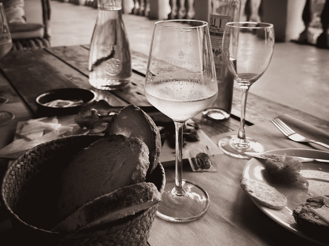 Finca Ca n'Estella-Sant Esteve Sesrovires必去景点