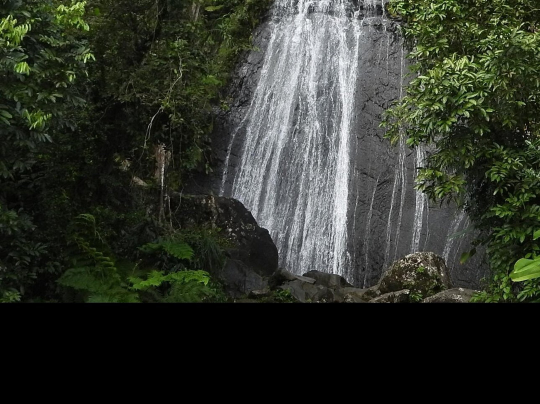 Yuquiyu Treehouses主图