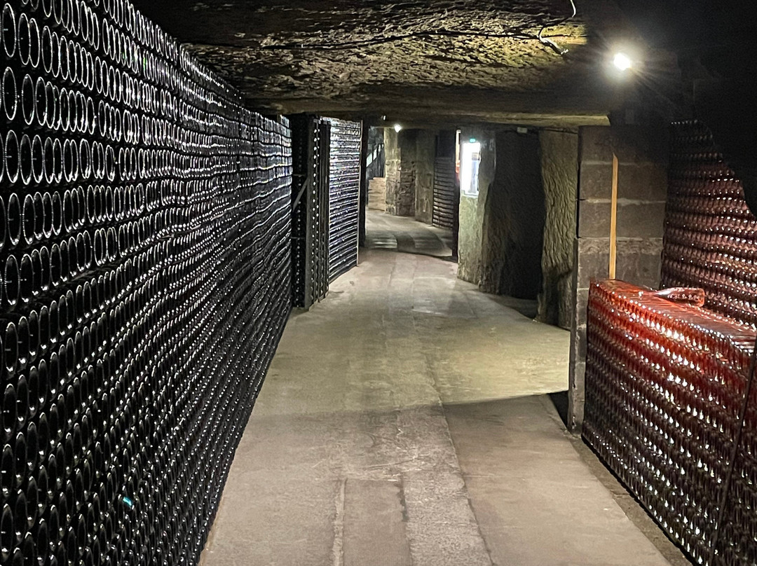 Caves Louis de Grenelle-梭缪尔必去景点