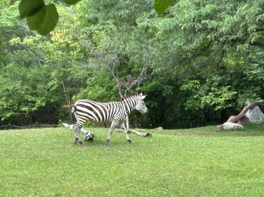 Indianapolis Zoo-印第安纳波利斯必去景点