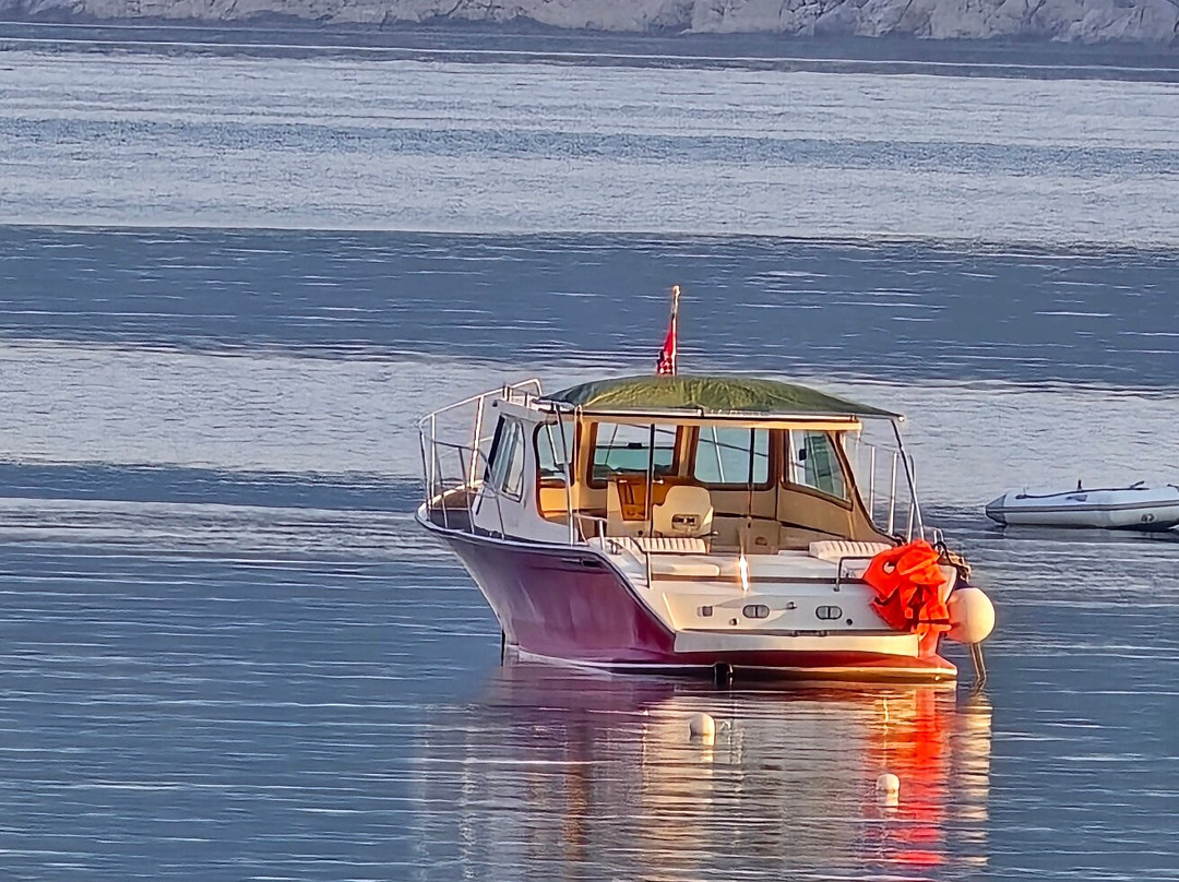 Galeb Boat Tours-Kolocep Island必去景点