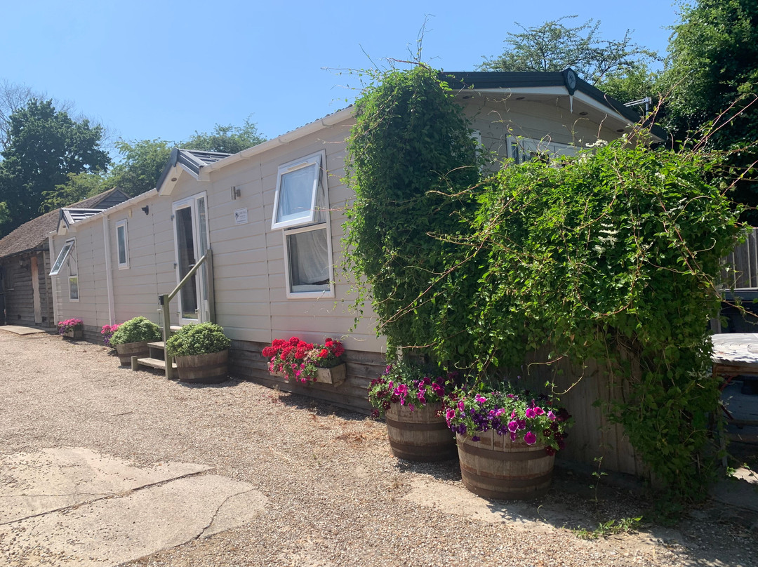 Molland Manor House B&B主图