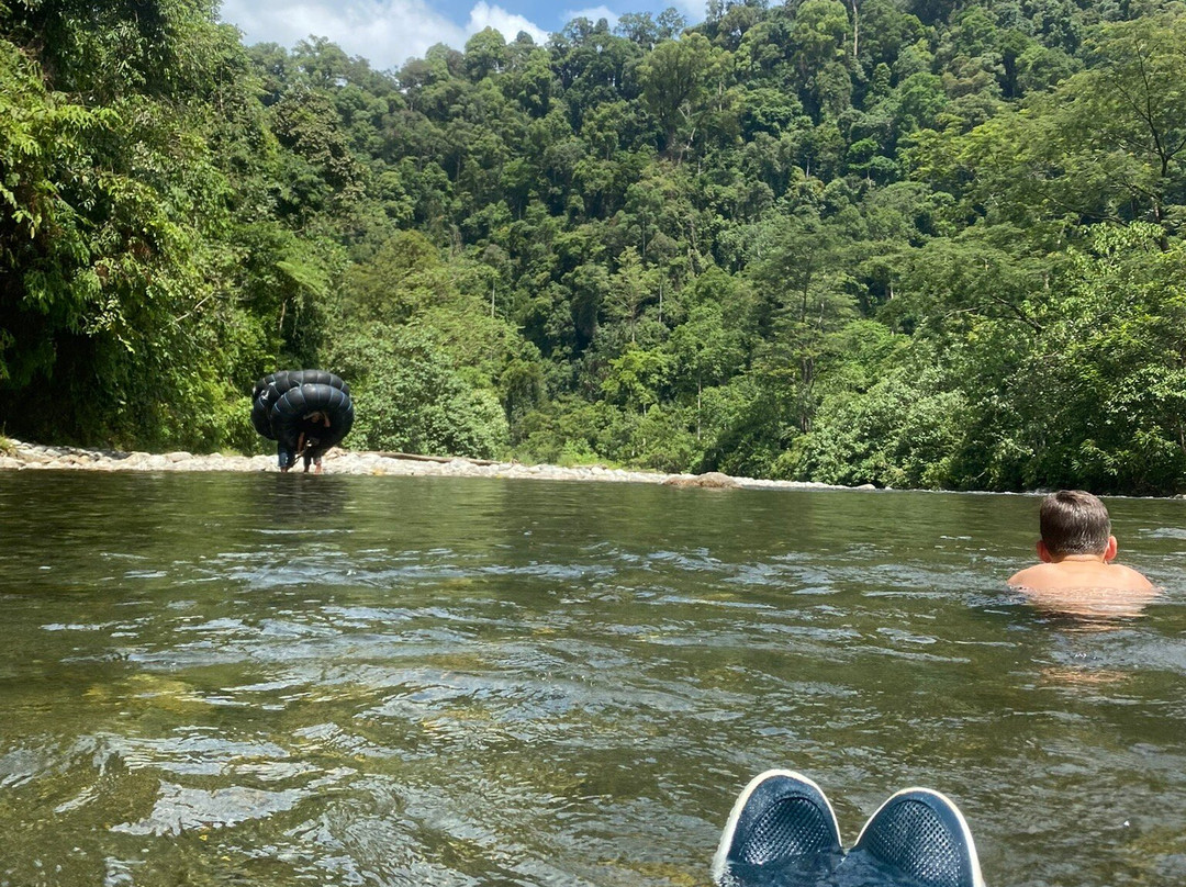 Sumatra Orang Utan Treks-武吉拉旺必去景点