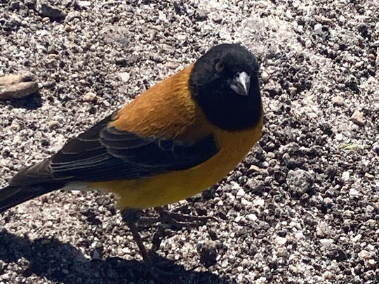 Expediciones Monte Blanco-乌尤尼必去景点