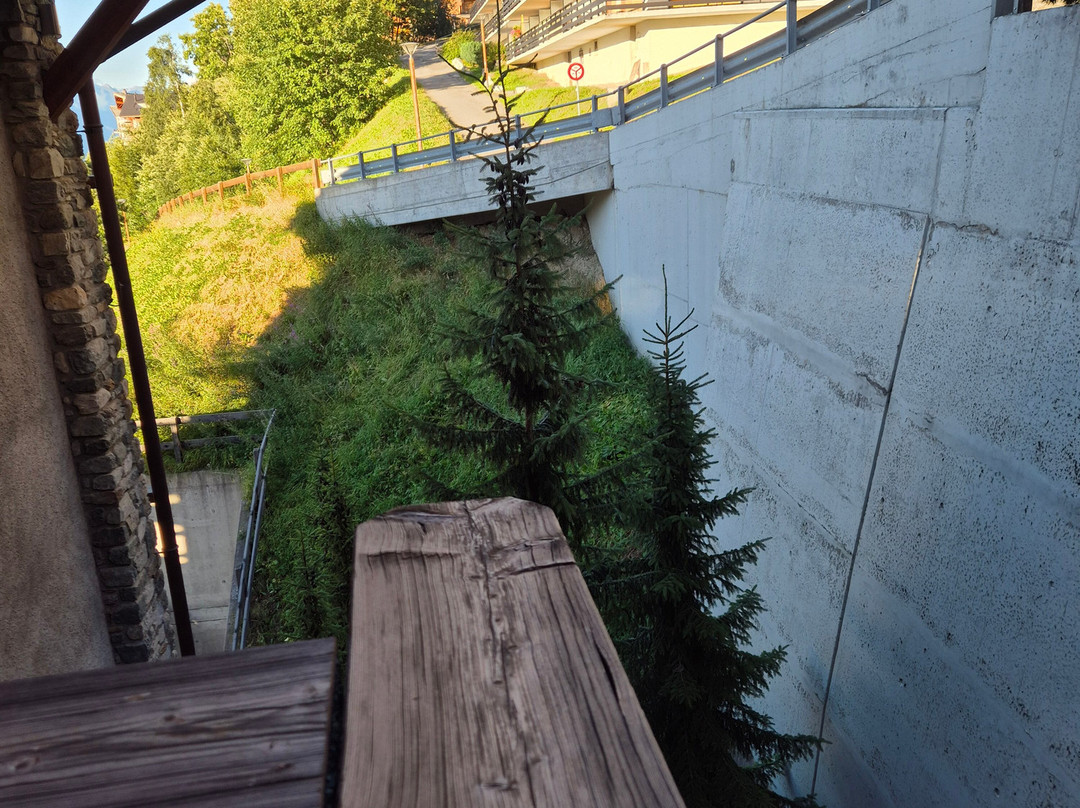 Hotel Nendaz 4 Vallees & Spa主图