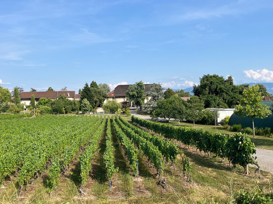 Domaine Les Perrières-Satigny必去景点