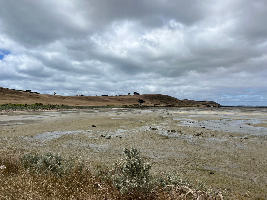 Godfreys Beach-斯坦利必去景点