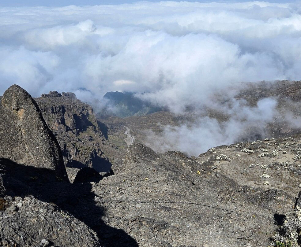 Dotcom Safaris Ltd-莫西必去景点