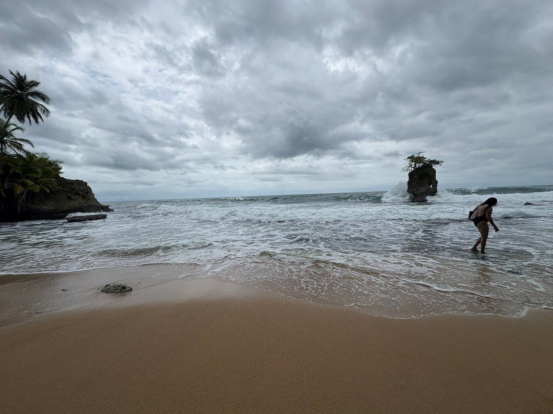 Playa Manzanillo-Manzanillo必去景点
