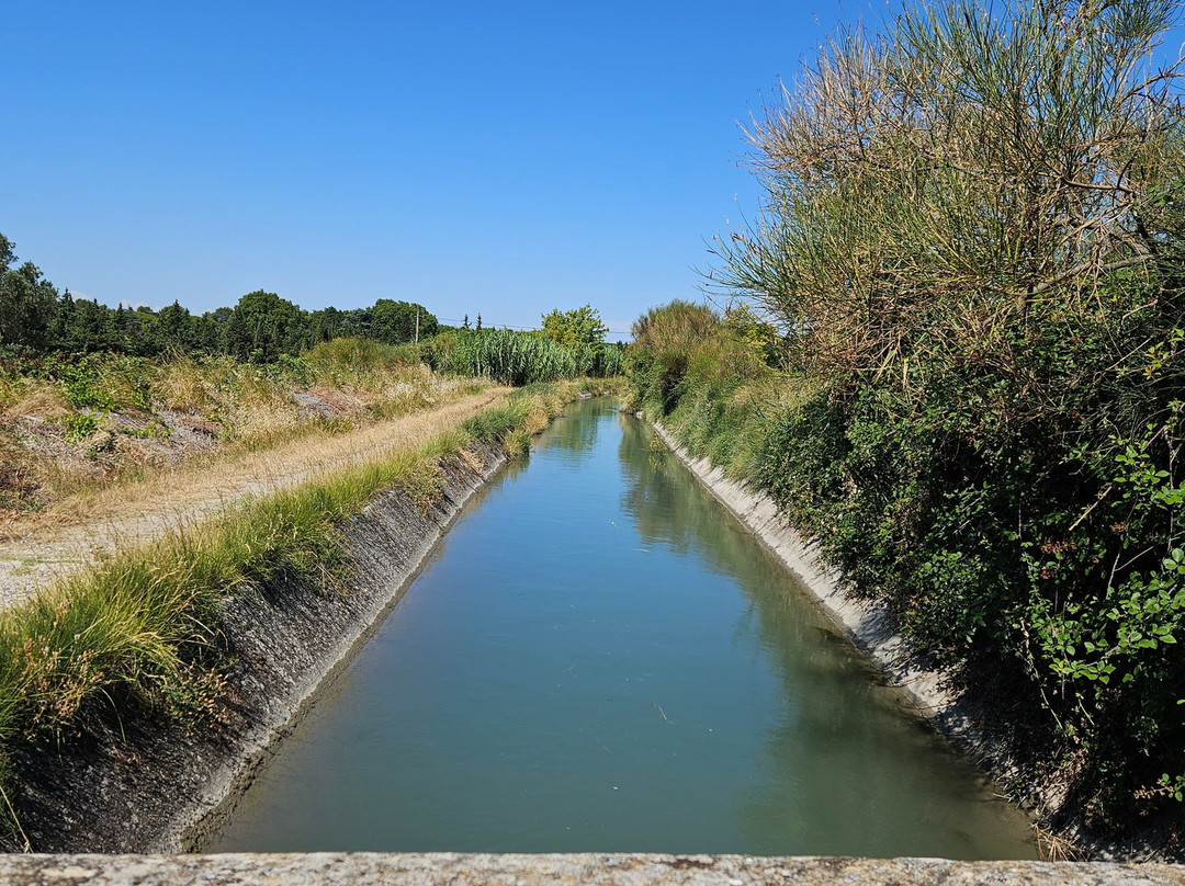 Les Promenades de Fleur-Aubignan必去景点
