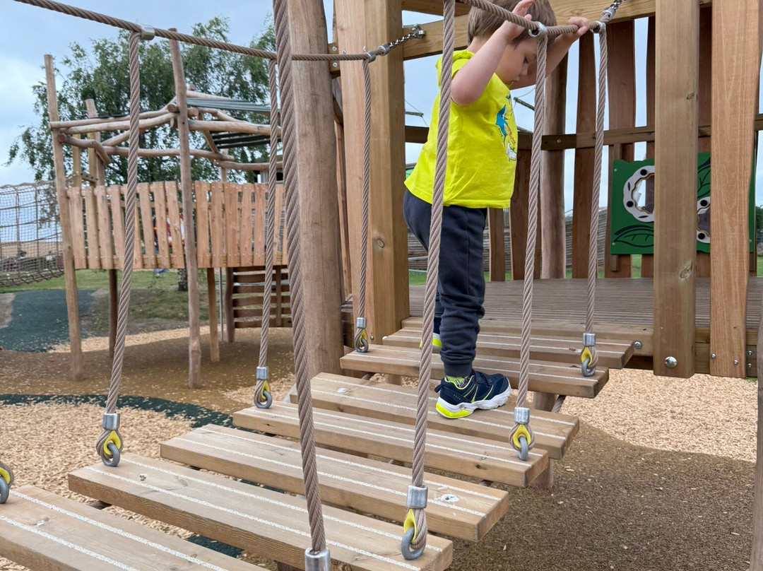 Active Kids Adventure Park-Stanley必去景点