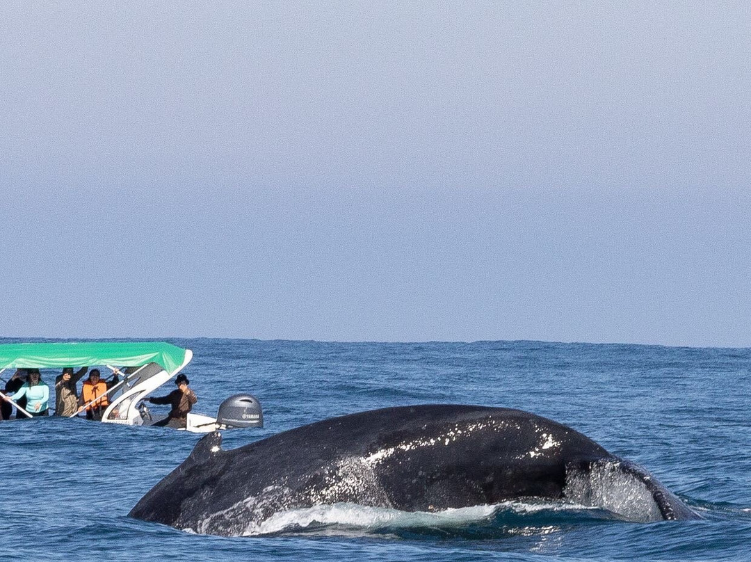 Maremar Turismo-伊利亚贝拉必去景点