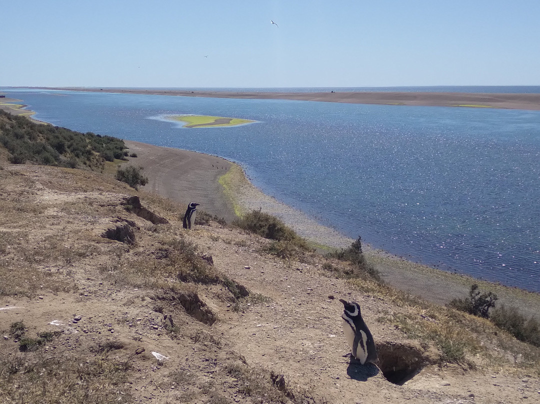 Caleta Valdes-Puerto Piramides必去景点