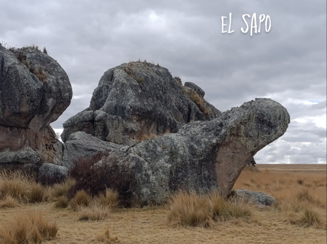 Bosque de piedras de Huayllay-Cerro de Pasco必去景点