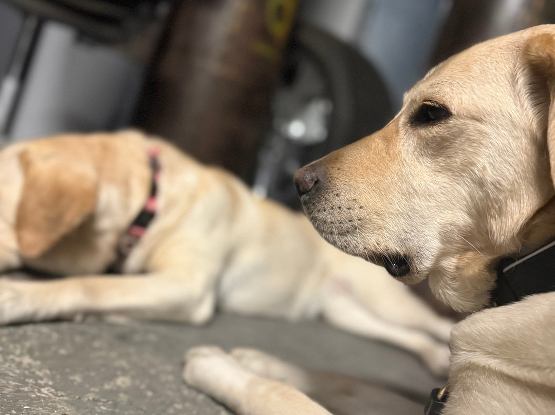 Hardscrabble Wilderness Area-Briarcliff Manor必去景点