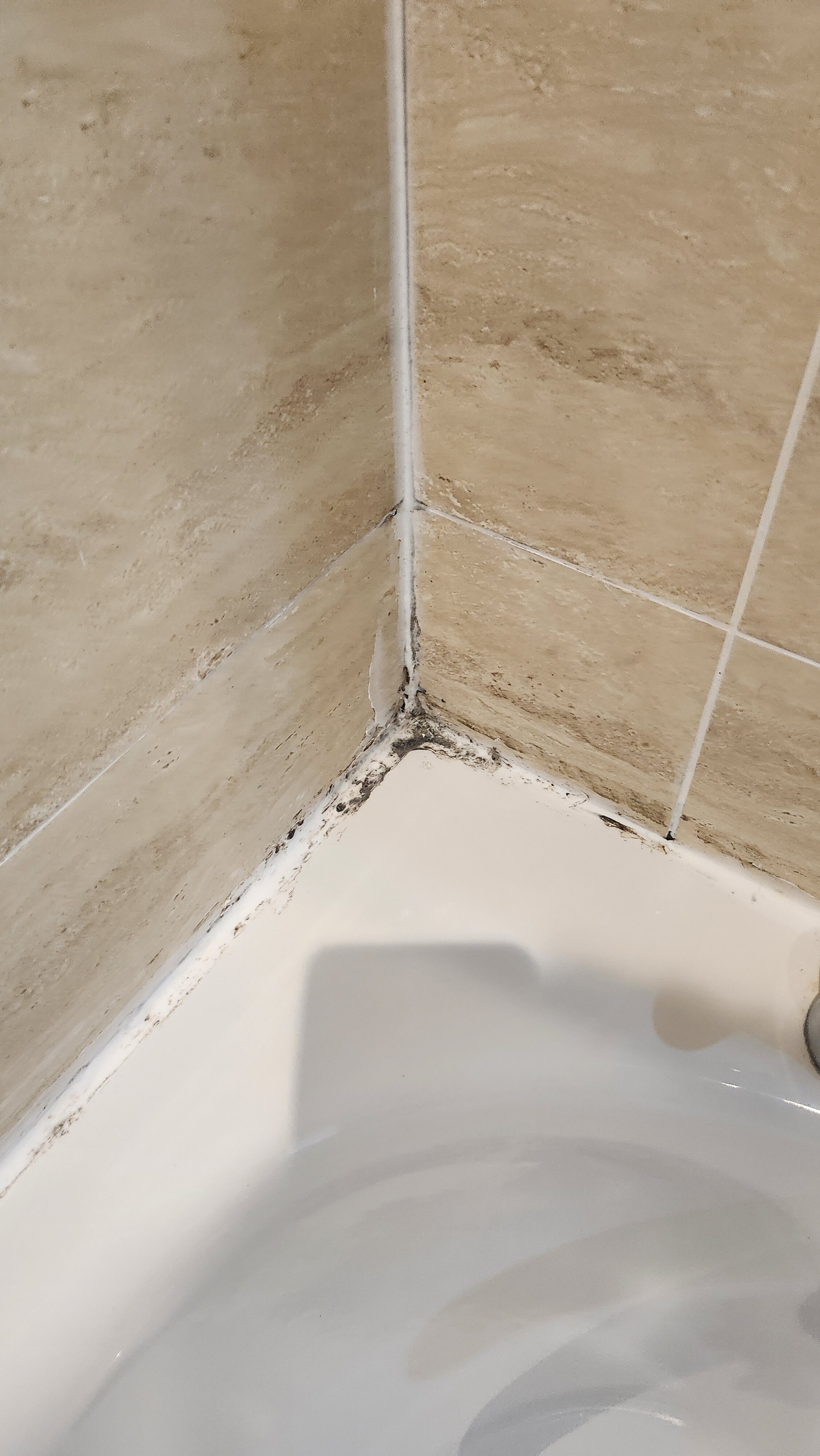 巴利罗宾乡村旅馆-官方