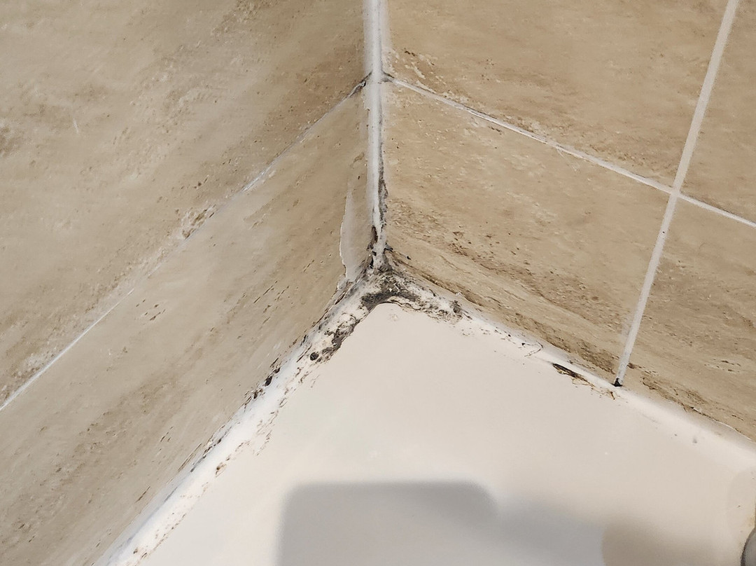 巴利罗宾乡村旅馆主图