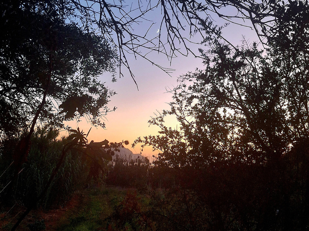 Artemis Pension主图