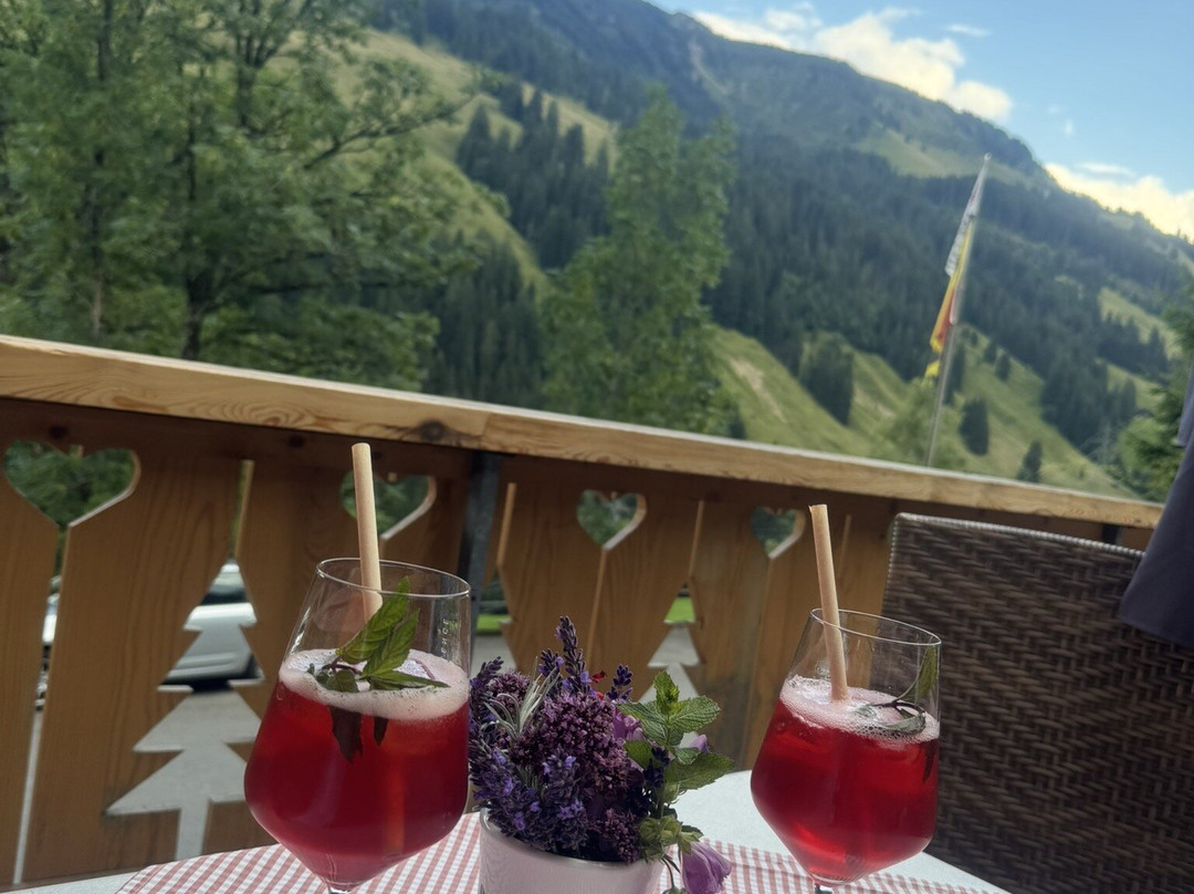 Berghotel Zur Sau主图