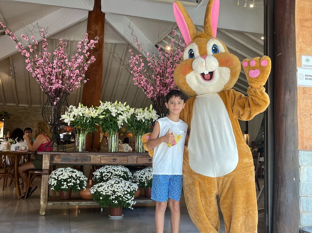 Villa do Comendador主图