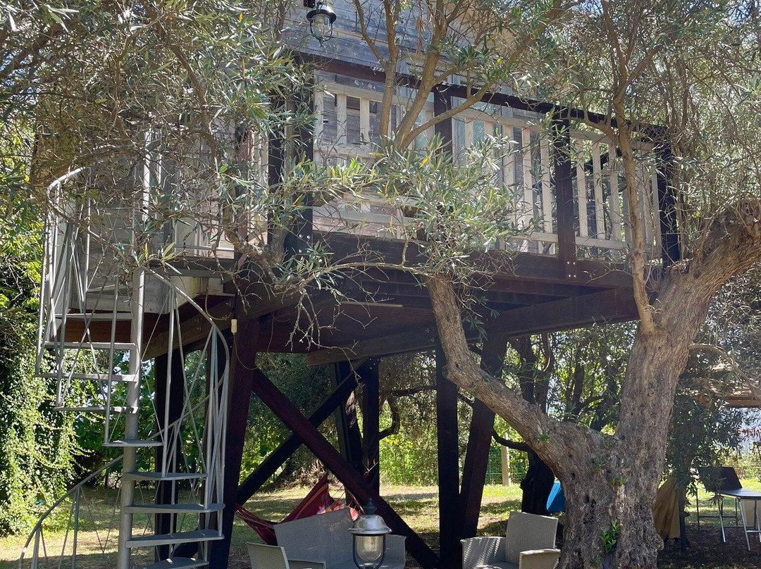 Palazzo Conforti主图