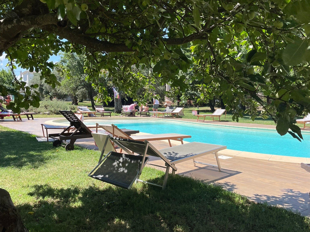 Palazzo Conforti主图