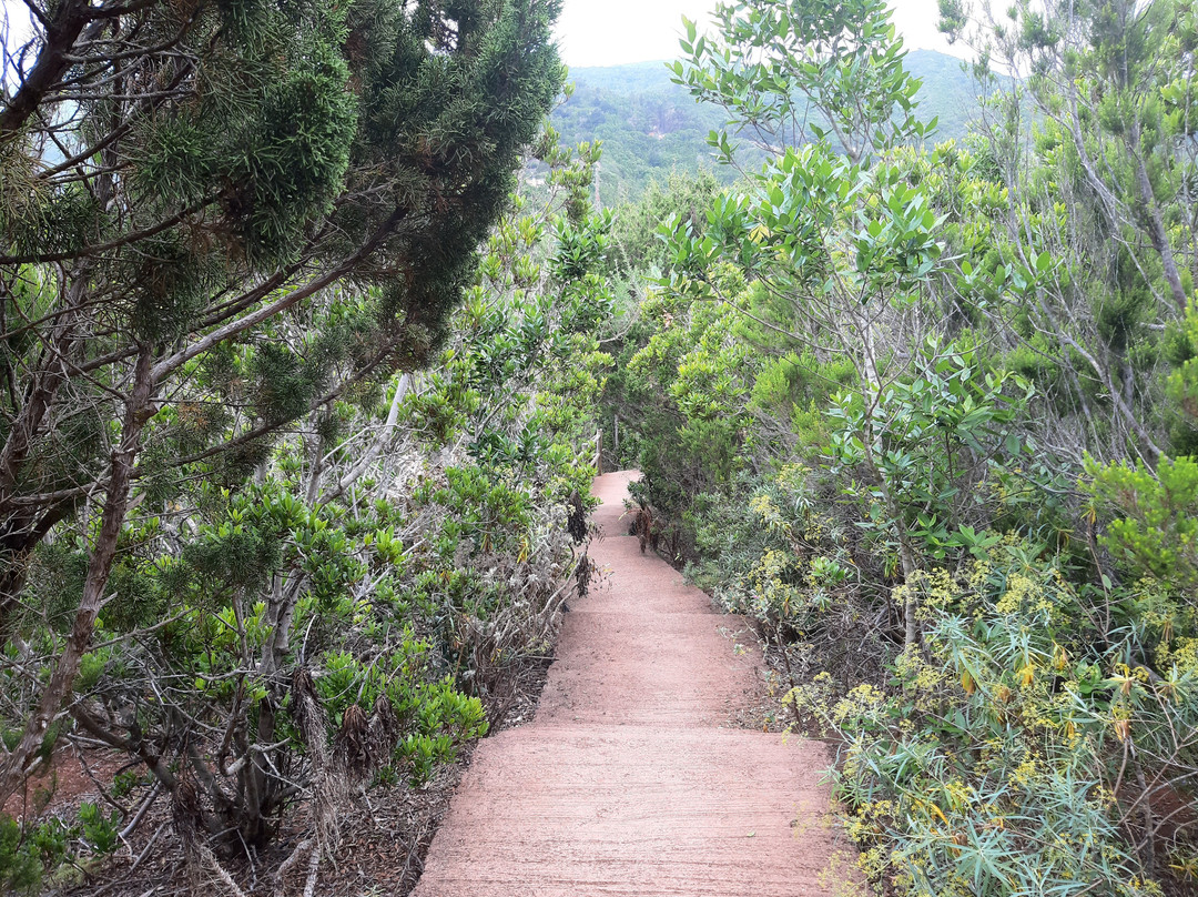Centro de Visitantes del Parque Nacional del Garajonay-La Gomera必去景点
