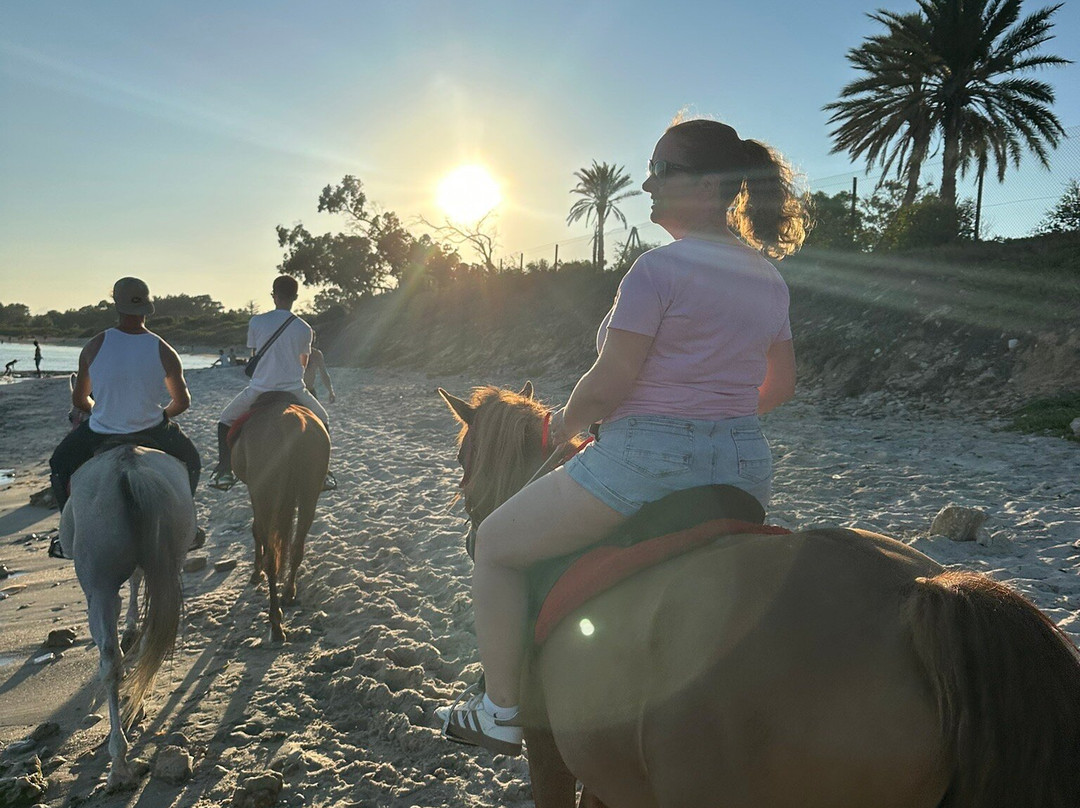 Club Equus Hammamet-哈玛麦德必去景点