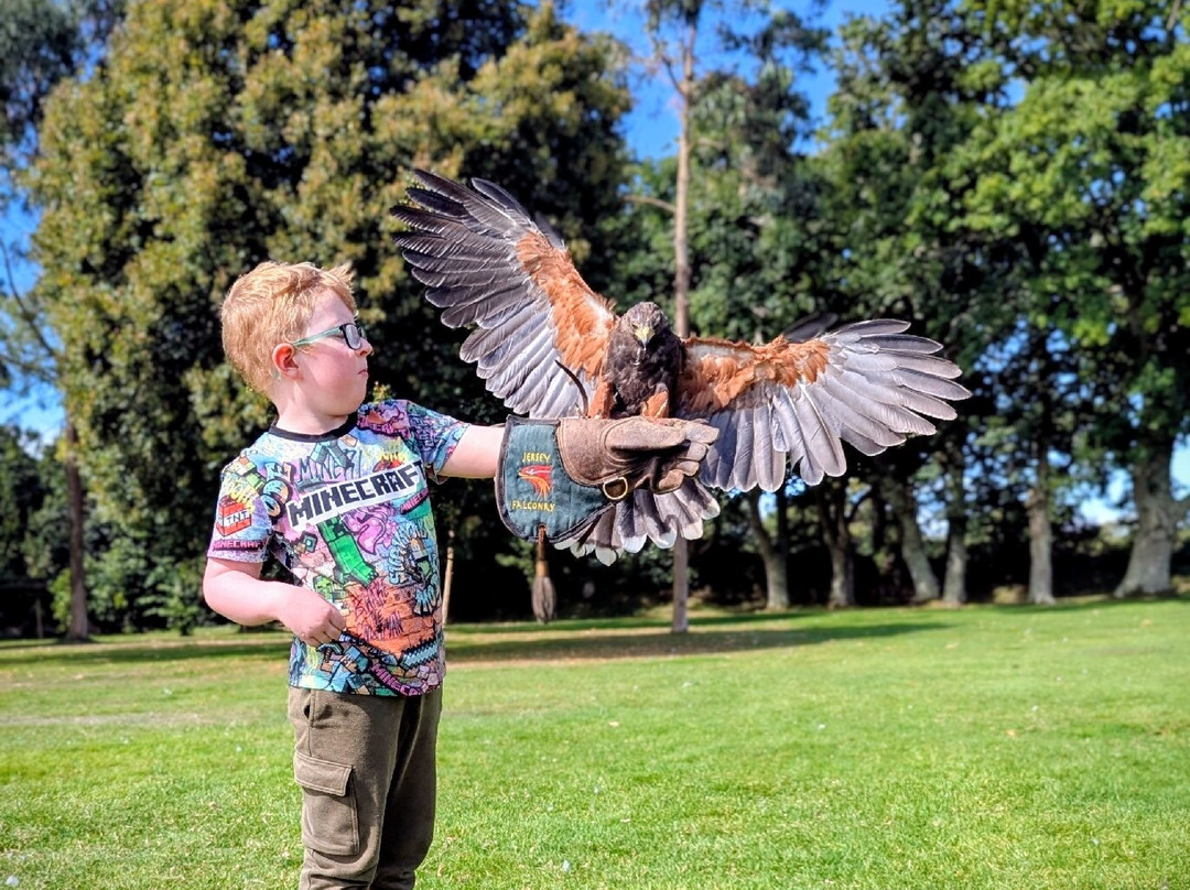 Jersey Falconry-St. John必去景点