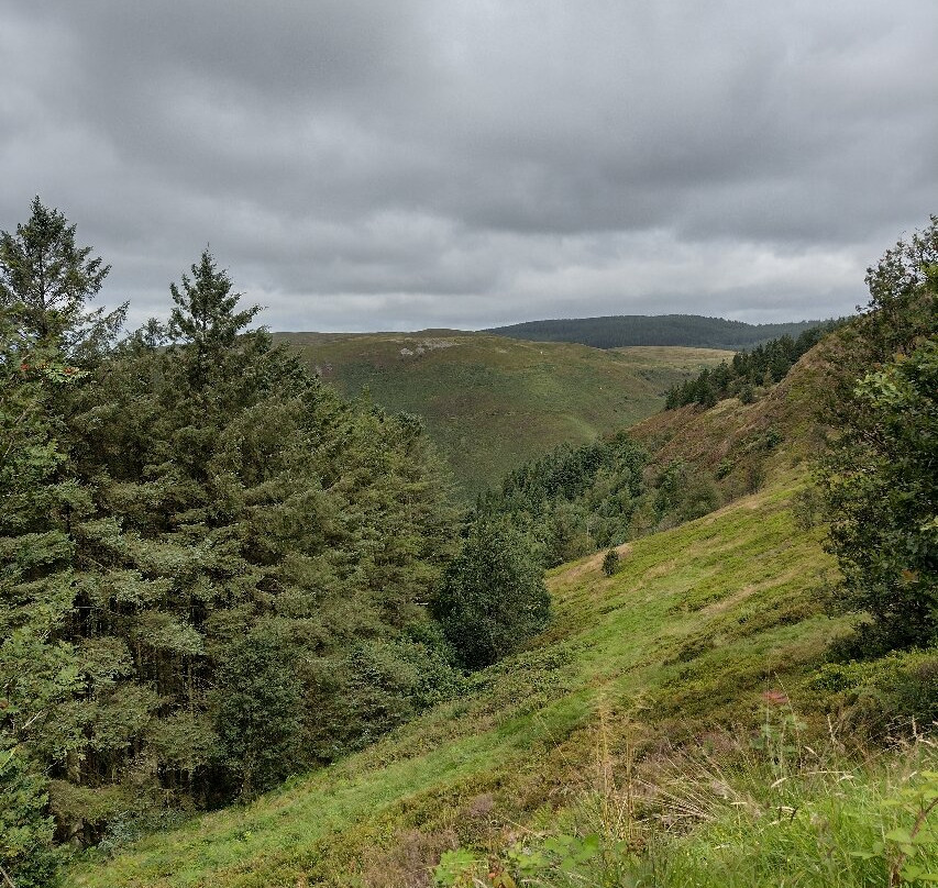 Bwlch Nant yr Arian Forest Visitor Centre-阿伯里斯特威斯必去景点